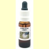 bloesemremedie_living_star_light_vitaliteitswinkel_1270114385
