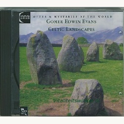 07-celtic_landscapes__gomer_edwin_evans-a