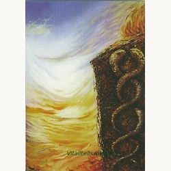 ab-12-het_vuur_van_de_liefde-alice_buis