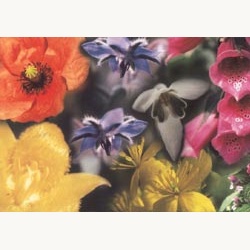 nederlandse_bloesem_remedie_liefde