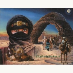 pj-02d-woestijnvaders-paul_jaarsma