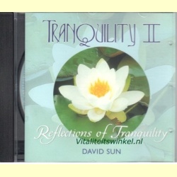 11-tranquility_ii_reflections_of_david-sun-a_1888585203