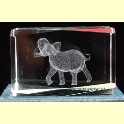 1_olifant_kl-1