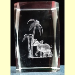 2_olifant_kl-1