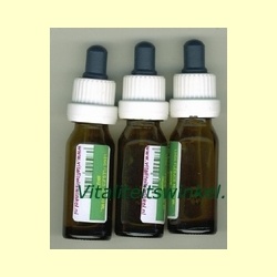 3_lege_flesjes_10ml_met_pipet