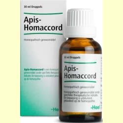 apis-homaccord