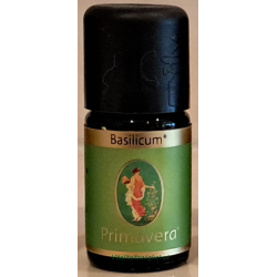 basilicum