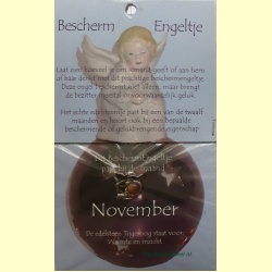 beschermengeltje-november-tijgeroog