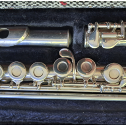bladmuziek_dwarsfluit