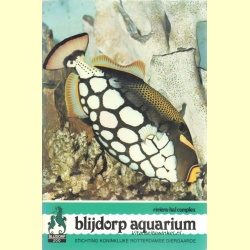blijdorp_aquarium_1