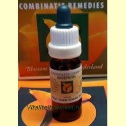 bloesem_remedies_nederland_groepsziel_1719389525