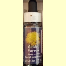 californische_fes_remedie_golden_yarrow