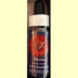 californische_fes_remedie_zinnia