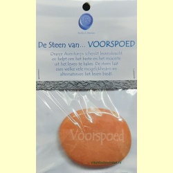 de_steen_van_voorspoed