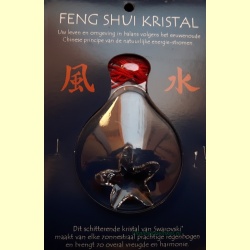 feng_shui_kristal-zeester