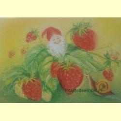 mz-412-zomer-slak-kaart_marjan_van_zeyl
