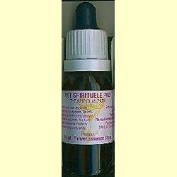 nederlandse_bloesemremedie_com_het-spirituele_pad