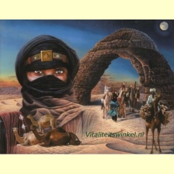 pj-02d-woestijnvaders-paul_jaarsma