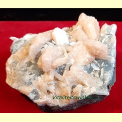 stilbiet_brok_r63-01
