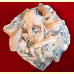 stilbiet_brok_r63-03