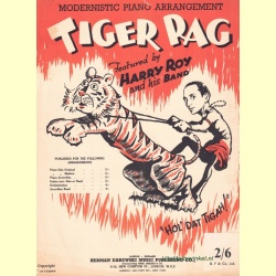 tiger_rag-1