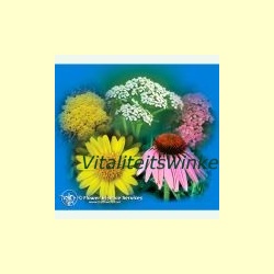 yarrow_environmental_solution