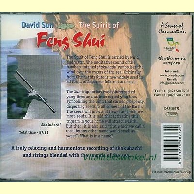 12-the_spirit_of_feng_shui_david-sun-b