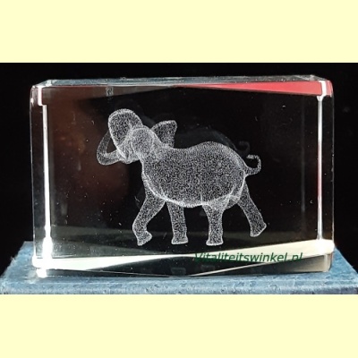 1_olifant_kl-1