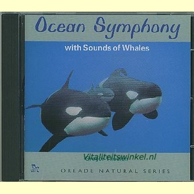 22-ocean_symphony_gregor-theelen-a