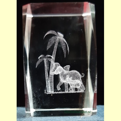 2_olifant_kl-1
