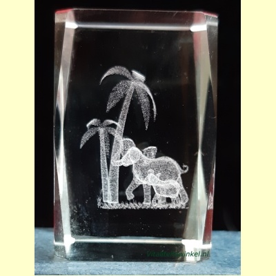 2_olifant_kl-2