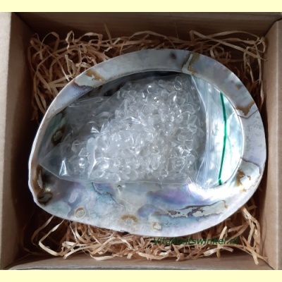 abalone_oplaadschelp_bergkristal-1