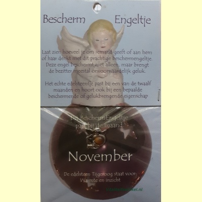 beschermengeltje-november-tijgeroog