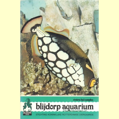 blijdorp_aquarium_1