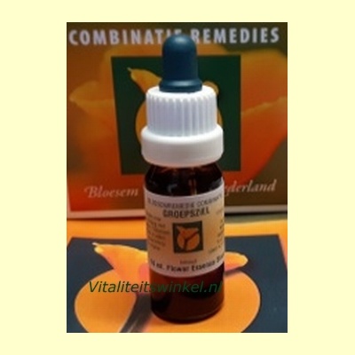 bloesem_remedies_nederland_groepsziel_1719389525
