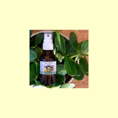 brn-snelherstelspray