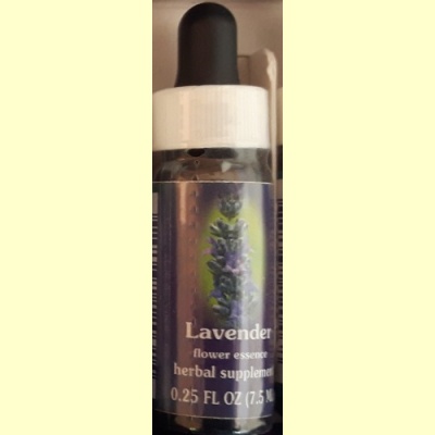 californische_fes_remedie_lavender