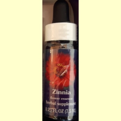 californische_fes_remedie_zinnia