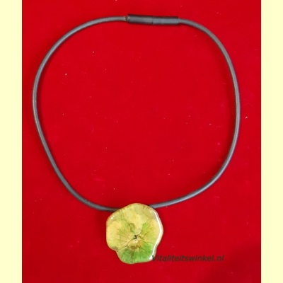collier_met_echt_viooltje-42cm