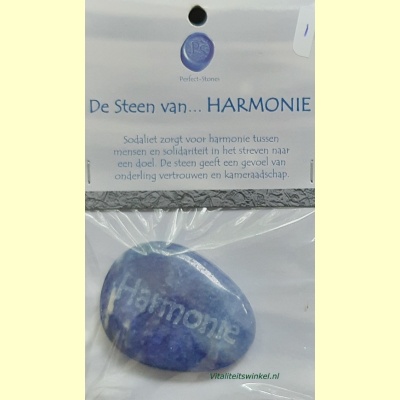 de_steen_van_harmonie-1