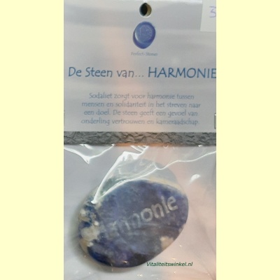 de_steen_van_harmonie-3