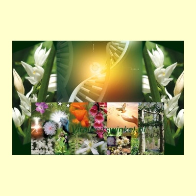 dna-licht_vitaliteitswinkel