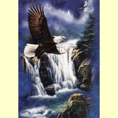 eagle_falls
