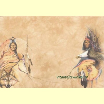 eagle_warior-2
