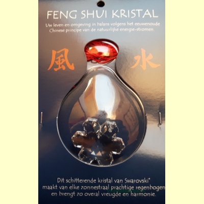 feng_shui_kristal-sneeuwvlok