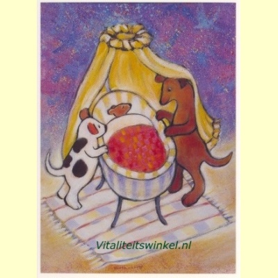 g-108-kleintje-geertje_van_der_zijpp