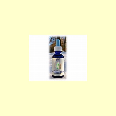living_light_edelsteenremedie_archangel_gabriel
