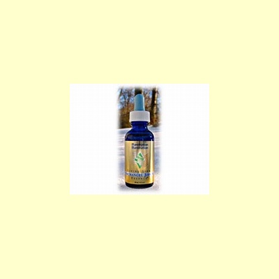 living_light_edelsteenremedie_archangel_jophiel