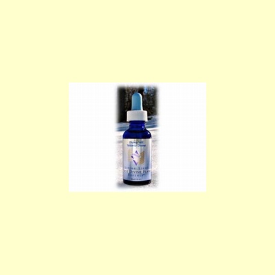 living_light_edelsteenremedie_first_divine_flame