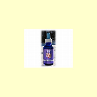 living_light_edelsteenremedie_holy_amthyst